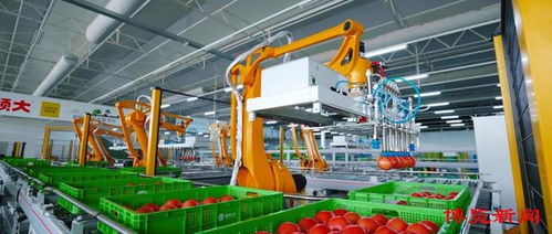 深讀淄博 智慧引領(lǐng) 淄博農(nóng)業(yè)數(shù)字化轉(zhuǎn)型加速推進