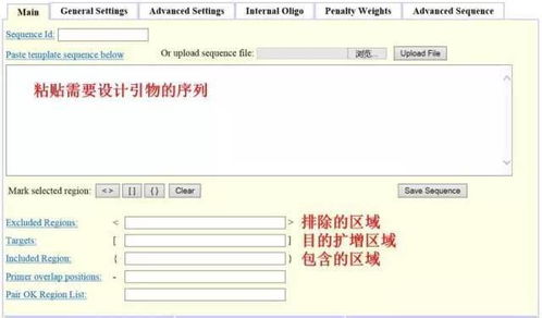 設計引物怕踩坑？這3款在線軟件輕松掃雷——淄博軟件設計指南